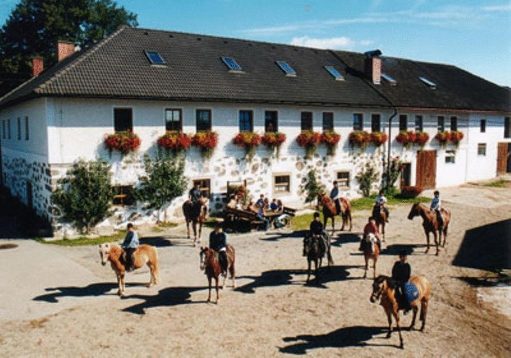 Вілла Reiterhof Stoeglehner Rainbach im Muhlkreis Екстер'єр фото